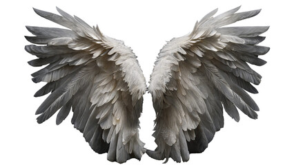 Fototapeta premium Pair of white wings with feathers isolated on transparent background. Angel/bird style Generative AI 