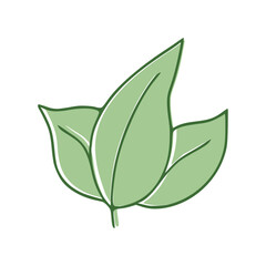 Green Leaves flat icon isolated on white background. Vector illustration