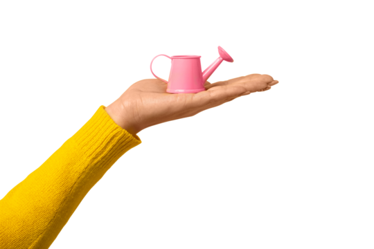 pink mini watering can on hand isolated on transparent background