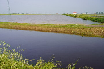 Flood in Emilia Romagna May 2023
