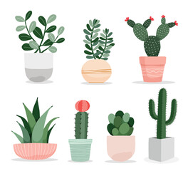 A collection of cute cactus and succulent plant in pots indoor plants in flat style vector illustration.