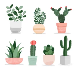 Tuinposter Cactus in pot A collection of cute cactus and succulent plant in pots indoor plants in flat style vector illustration.