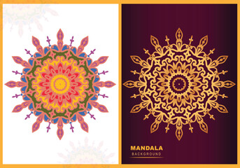Set collection beautiful color floral frame style mandalas vector luxury design