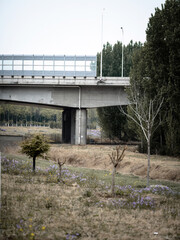 100 million pixel high-definition urban buildings and bridges