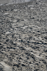 at the dune beach