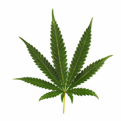 Naklejka na ściany i meble cannabis leaf