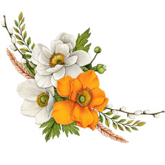 watercolor hand drawn anemone flowers