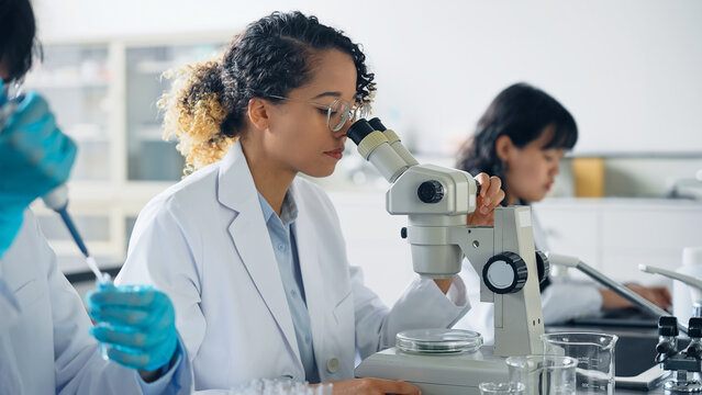 Multinational researcher group experimenting in the lab.
