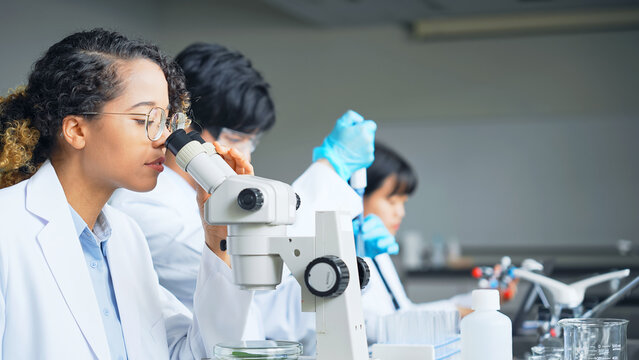 Multinational researcher group experimenting in the lab.