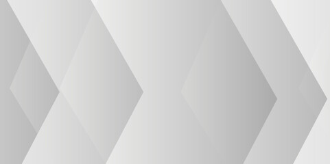 Fototapeta premium abstract background with triangles. Abstract background with lines . Gray and white texture background . white and gray paper triangle abstract background. white paper texture and business ,card,flyer