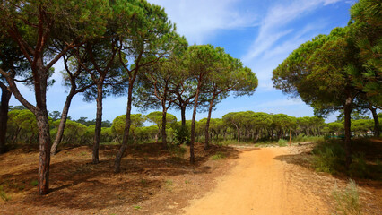 Fototapeta na wymiar Naturschutzgebiet Portugal