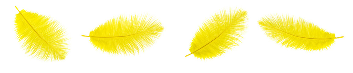 yellow ostrich feathers on a transparent isolated background. png - obrazy, fototapety, plakaty