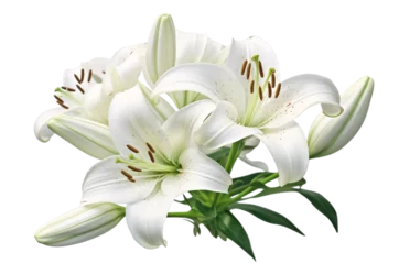 Foto op Plexiglas white lily flower © Anthony