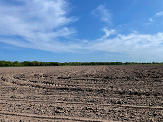 Experience the rustic charm of a plowed field merging with sandy textures, revealing a captivating landscape where nature's raw beauty unfolds