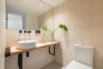 Stylish bright bathroom with beige tiles on the walls and a large mirror with a sink in a wooden countertop and a toilet. The concept of an unusual but concise shower design