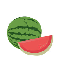 illustration of watermelon