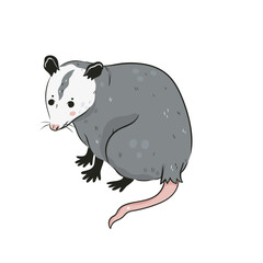 Cute opossum isolated on a white background. Vector graphics.