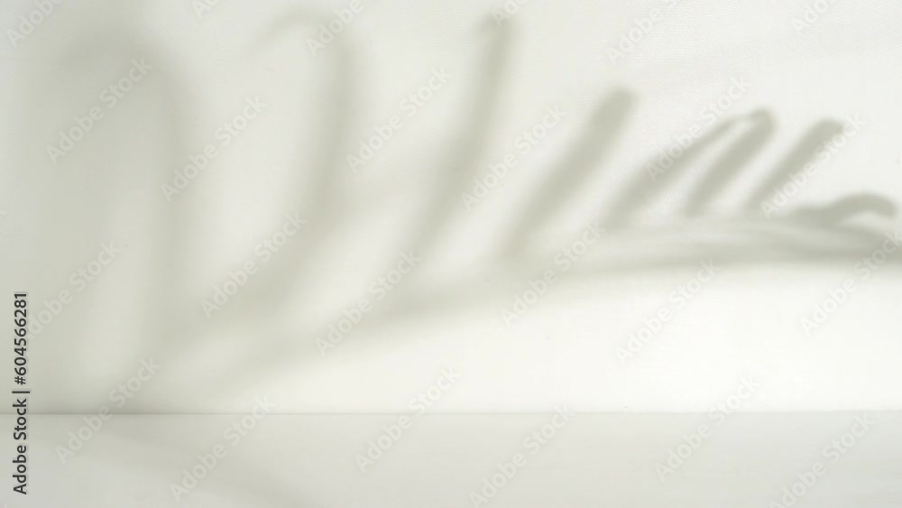 Poster Minimalist room with palm leaf shadow overlay for product display and background