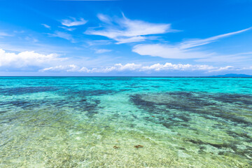 沖縄県・石垣島　川平タバガー
