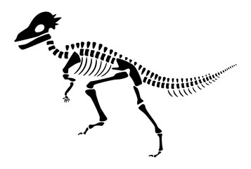 Pachycephalosaurus skeleton . Silhouette dinosaurs . Side view . Vector .