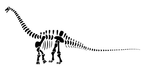 Fototapeta na wymiar Apatosaurus skeleton . Silhouette dinosaurs . Side view . Vector .