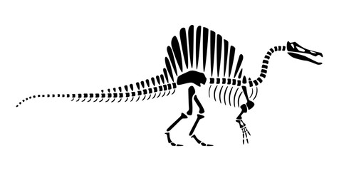 Spinosaurus skeleton . Silhouette dinosaurs . Side view . Vector .