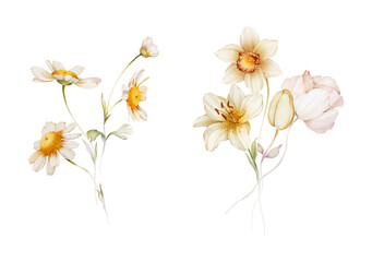 Two bouquets of wild flowers in a watercolor style on a white background.