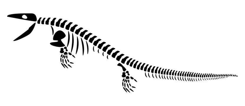 Mosasaurus skeleton . Silhouette aquatic dinosaurs . Side view . Vector .
