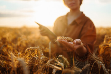 A woman agronomist checks the harvest. Smart farmer concept. A bountiful harvest