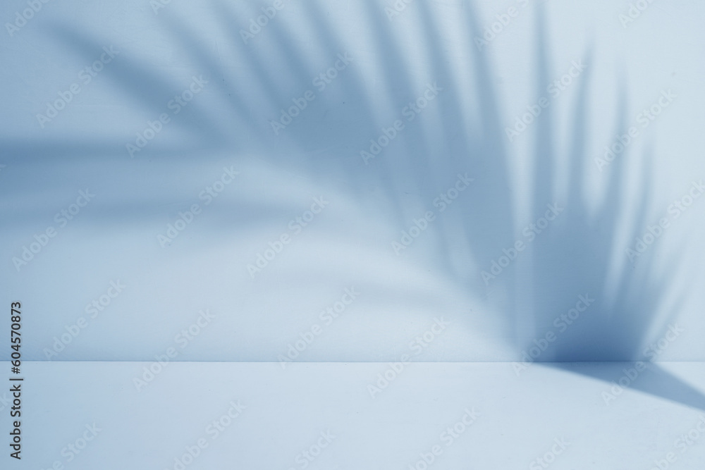 Poster minimalist palm leaf shadow. display room with soft shadow overlay