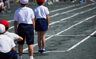 Fototapeta premium 小学校の運動会で短距離走をしている学生達の後ろ姿