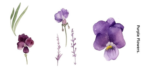Obraz na płótnie Canvas Purple Orchid