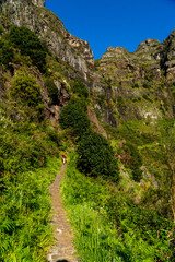 A woman explores new, magical, and fantastic places around the world, surrounded by nature and spreading her arms to breathe and relax. Female hiker crossing the forest creek. Madeira