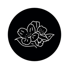 Jasmine flower black line