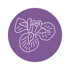 Iris flower black line