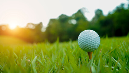 Golf ball on green grass in the evening golf course with sunshine background.