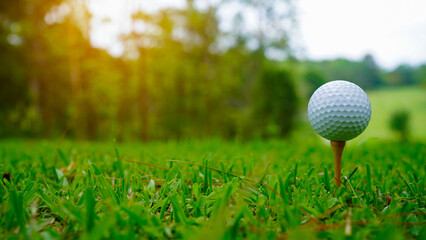 Golf ball on green grass in the evening golf course with sunshine background.
