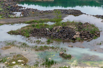 Polluted body of water.  Water pollution concept image. Summer landscape.