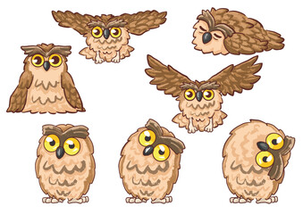 illustration of cute owl character 