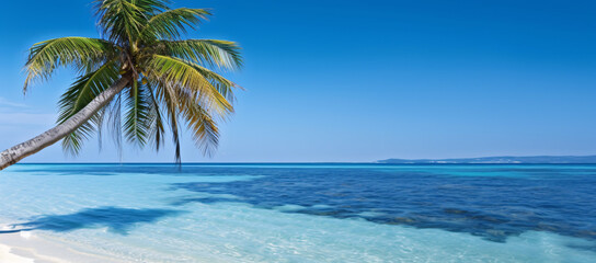 Fototapeta na wymiar Tropical Paradise with palm tree on white sand and turquoise ocean , Beach Of Maldives