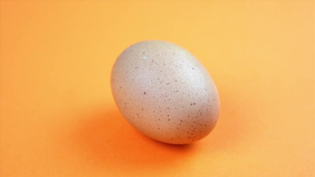 alone fresh chicken egg turns on orange color surface