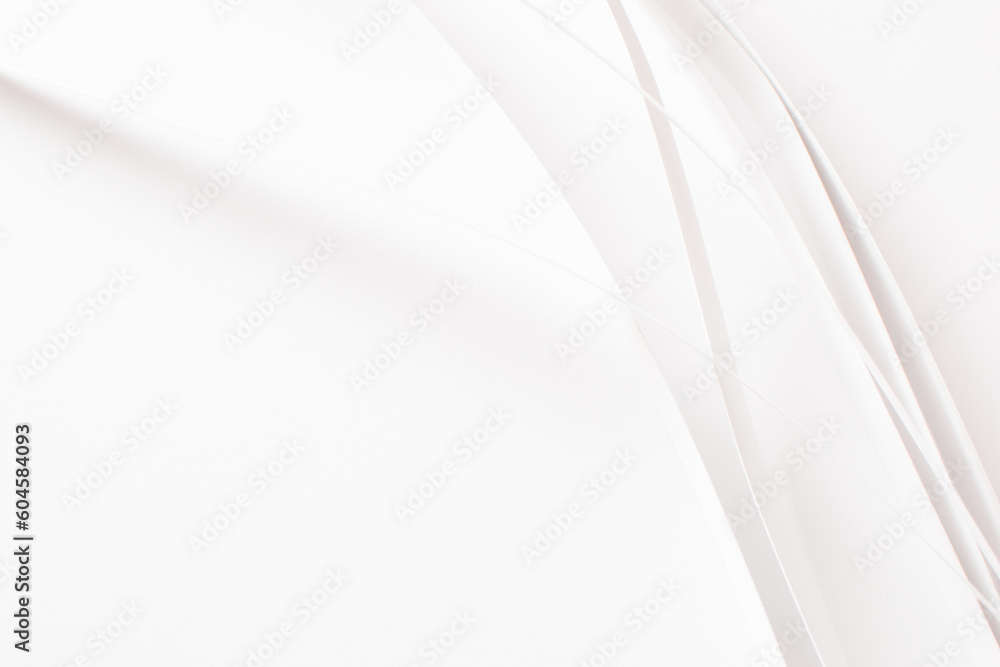 Wall mural White 3d curved stripes on white background, soft focus