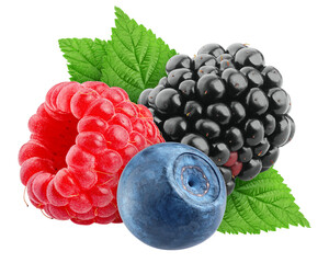 wild Berries mix, raspberry, blueberry, blackberry, isolated on white background, full depth of field - obrazy, fototapety, plakaty