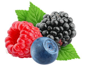 wild Berries mix, raspberry, blueberry, blackberry, isolated on white background, full depth of field