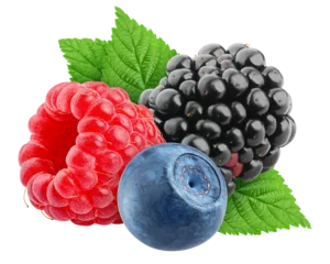 Foto op Plexiglas wild Berries mix, raspberry, blueberry, blackberry, isolated on white background, full depth of field © grey