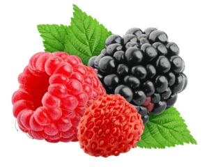 wild Berries mix, raspberry, blackberry, wild strawberry, isolated on white background, full depth of field