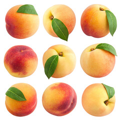Peach, Nectarine, isolated on white background, full depth of field