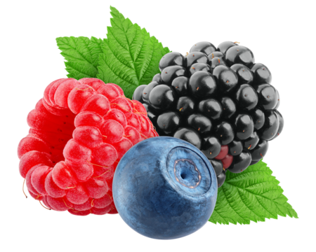 wild Berries mix, raspberry, blueberry, blackberry, isolated on white background, full depth of field