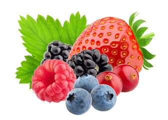 wild berries mix, strawberry, raspberry, blueberry, cranberry, blackberry, isolated on white...