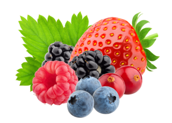 wild berries mix, strawberry, raspberry, blueberry, cranberry, blackberry, isolated on white background, full depth of field
